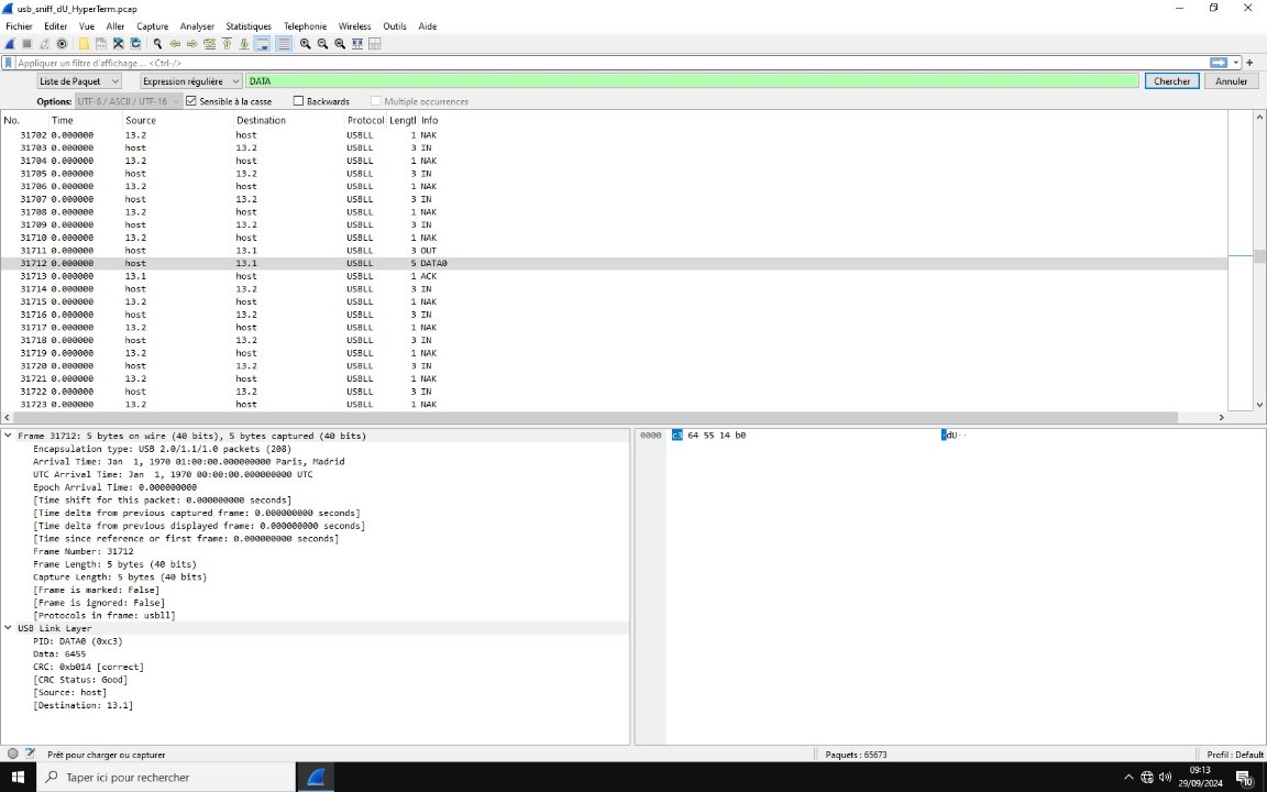 WireShark_Screen_HyperTerm_dU.jpg
