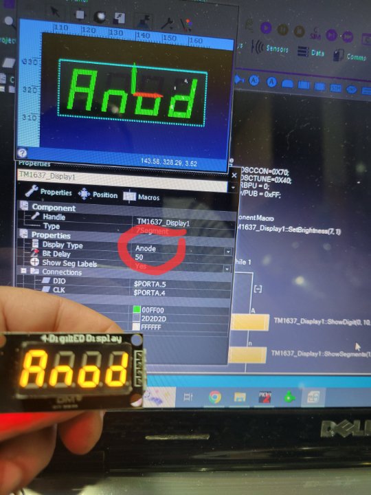 Anode.jpg