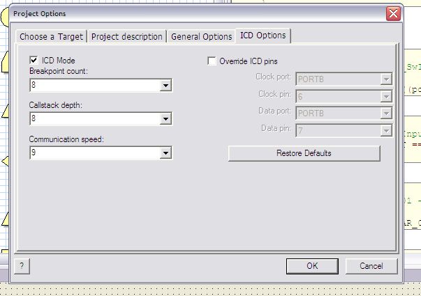 ICD Active in Project Options.jpg