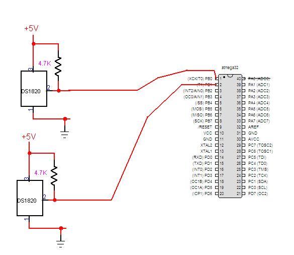 2 X 1Wire.JPG