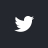 Twitter Icon